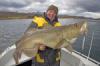 Horst Hennings hat gut lachen - dieser 25-Kilo-Dorsch biss im September mitten im Saltstraumen.