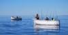 Dieselboot Skager - viel Platz an Bord!